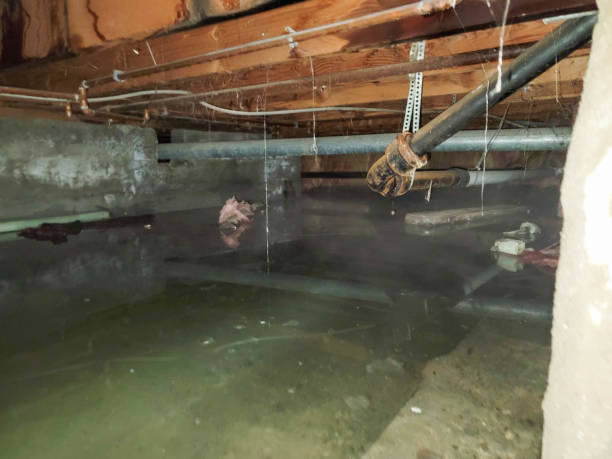  Lackawanna, NY Water damage restoration Pros