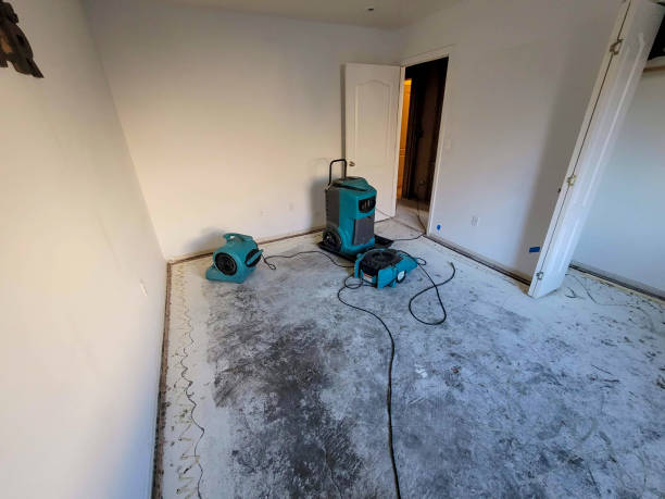 Best Local water damage restoration  in Lackawanna, NY