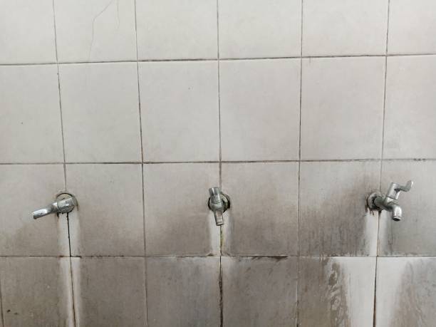 Best Water damage restoration insurance claims  in Lackawanna, NY