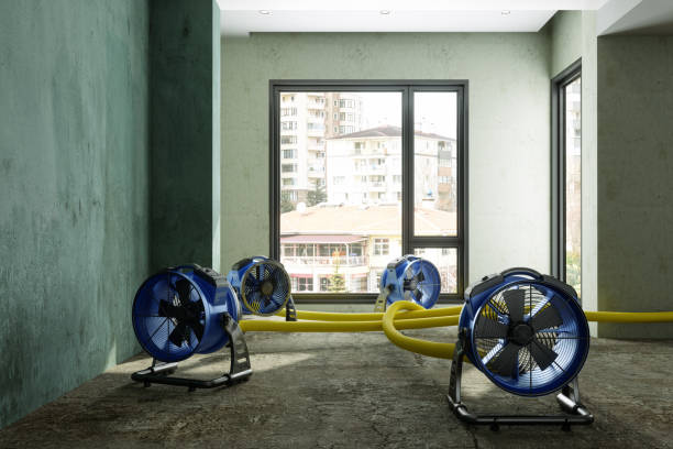 Best Fire Damage Restoration  in Lackawanna, NY